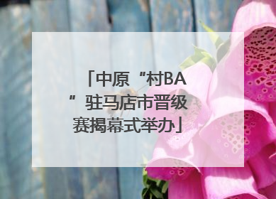 中原“村BA”驻马店市晋级赛揭幕式举办