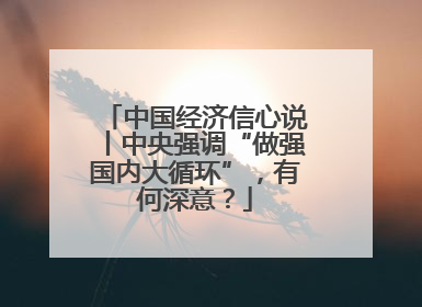中国经济信心说丨中央强调“做强国内大循环”，有何深意？