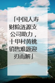 中国人寿财险涟源支公司助力，十甲村黄桃销售难题迎刃而解