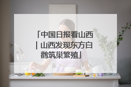 中国日报看山西｜山西发现东方白鹳筑巢繁殖