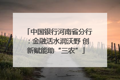中国银行河南省分行：金融活水润沃野 创新赋能助“三农”
