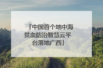 中国首个地中海贫血防治智慧云平台落地广西