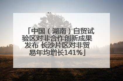 中国（湖南）自贸试验区对非合作创新成果发布 长沙片区对非贸易年均增长141%