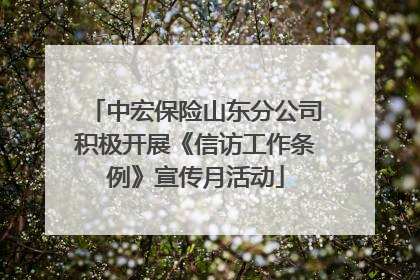 中宏保险山东分公司积极开展《信访工作条例》宣传月活动
