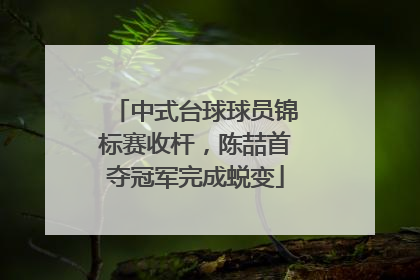 中式台球球员锦标赛收杆，陈喆首夺冠军完成蜕变