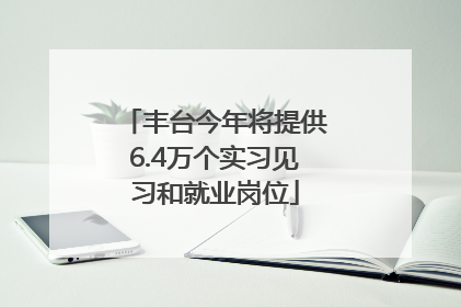 丰台今年将提供6.4万个实习见习和就业岗位