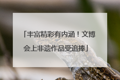 丰富精彩有内涵！文博会上非遗作品受追捧