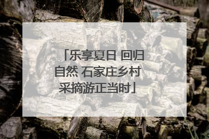 乐享夏日 回归自然 石家庄乡村采摘游正当时