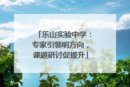 乐山实验中学：专家引领明方向，课题研讨促提升