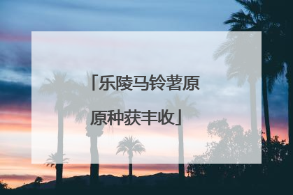乐陵马铃薯原原种获丰收