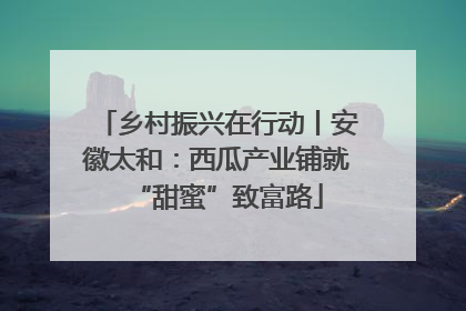 乡村振兴在行动丨安徽太和：西瓜产业铺就“甜蜜”致富路