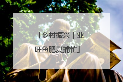 乡村振兴｜业旺鱼肥夏捕忙