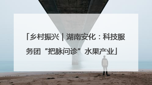 乡村振兴｜湖南安化：科技服务团“把脉问诊”水果产业