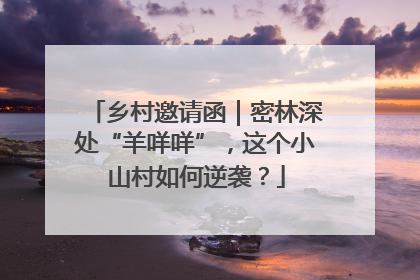 乡村邀请函｜密林深处“羊咩咩”，这个小山村如何逆袭？