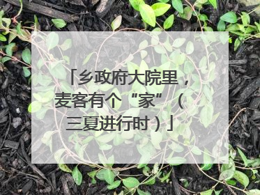 乡政府大院里，麦客有个“家”（三夏进行时）