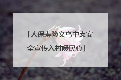 人保寿险义乌中支安全宣传入村暖民心