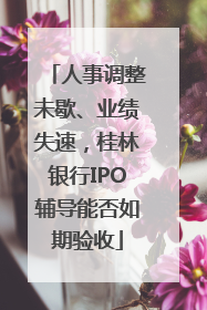 人事调整未歇、业绩失速，桂林银行IPO辅导能否如期验收