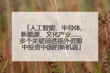 人工智能、半导体、新能源、文化产业……多个关键词透视外资眼中投资中国的新机遇