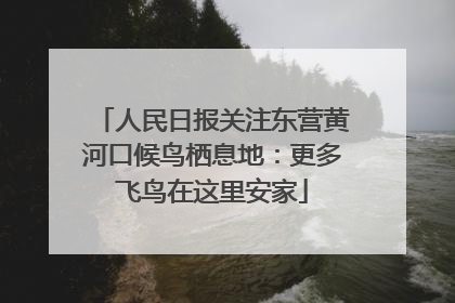 人民日报关注东营黄河口候鸟栖息地：更多飞鸟在这里安家