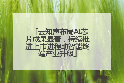 云知声布局AI芯片成果显著，持续推进上市进程助智能终端产业升级