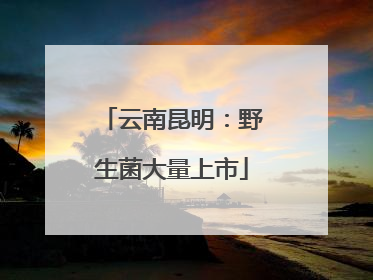 云南昆明：野生菌大量上市