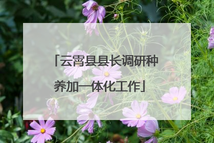 云霄县县长调研种养加一体化工作
