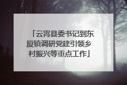 云霄县委书记到东厦镇调研党建引领乡村振兴等重点工作
