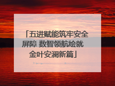 五进赋能筑牢安全屏障 数智领航绘就金叶安澜新篇