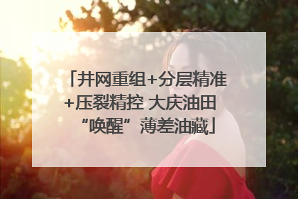 井网重组+分层精准+压裂精控 大庆油田“唤醒”薄差油藏