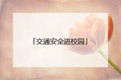 交通安全进校园
