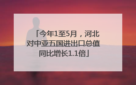 今年1至5月，河北对中亚五国进出口总值同比增长1.1倍