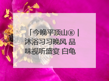 今晚平顶山⑧｜沐浴习习晚风 品味视听盛宴 白龟湖畔·草坪音乐会激情上演