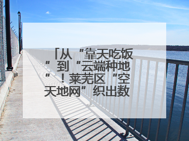 从“靠天吃饭”到“云端种地”！莱芜区“空天地网”织出数字农业新图景