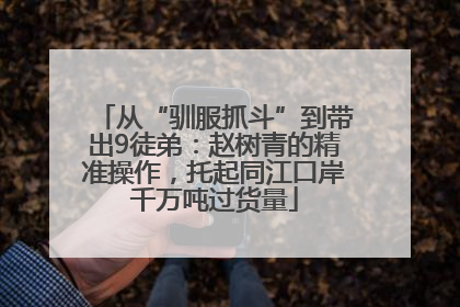 从“驯服抓斗”到带出9徒弟：赵树青的精准操作，托起同江口岸千万吨过货量