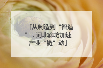 从制造到“智造”，河北廊坊加速产业“链”动