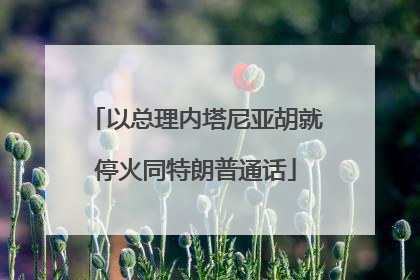以总理内塔尼亚胡就停火同特朗普通话