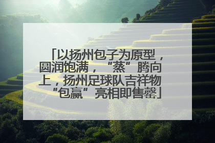 以扬州包子为原型，圆润饱满，“蒸”腾向上，扬州足球队吉祥物“包赢”亮相即售罄