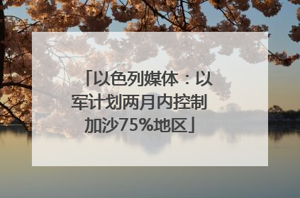 以色列媒体：以军计划两月内控制加沙75%地区