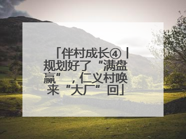 伴村成长④丨规划好了“满盘赢”，仁义村唤来“大厂”回