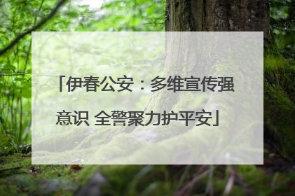 伊春公安：多维宣传强意识 全警聚力护平安