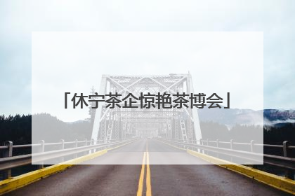 休宁茶企惊艳茶博会