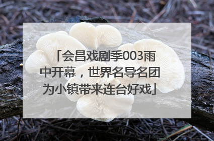 会昌戏剧季003雨中开幕，世界名导名团为小镇带来连台好戏