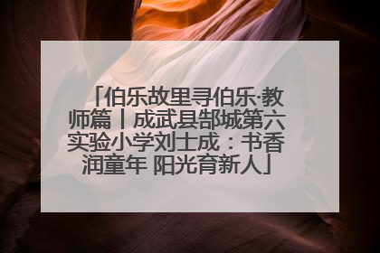 伯乐故里寻伯乐·教师篇丨成武县郜城第六实验小学刘士成：书香润童年 阳光育新人