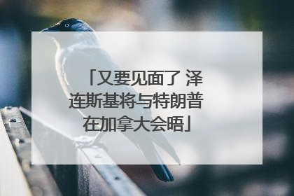 又要见面了 泽连斯基将与特朗普在加拿大会晤