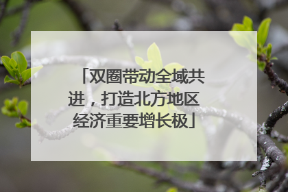 双圈带动全域共进，打造北方地区经济重要增长极