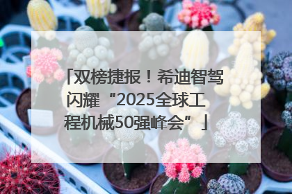 双榜捷报！希迪智驾闪耀“2025全球工程机械50强峰会”
