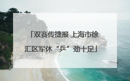双赛传捷报 上海市徐汇区军休“乒”劲十足