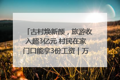 古村焕新颜，旅游收入超3亿元 村民在家门口能拿3份工资｜万千气象看四川
