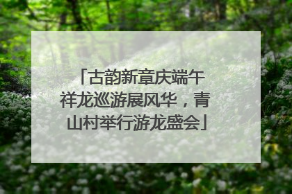 古韵新章庆端午 祥龙巡游展风华，青山村举行游龙盛会