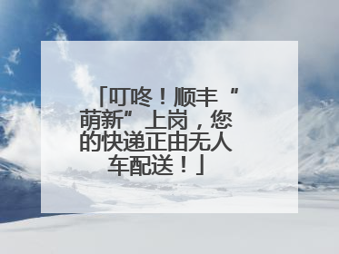 叮咚！顺丰“萌新”上岗，您的快递正由无人车配送！